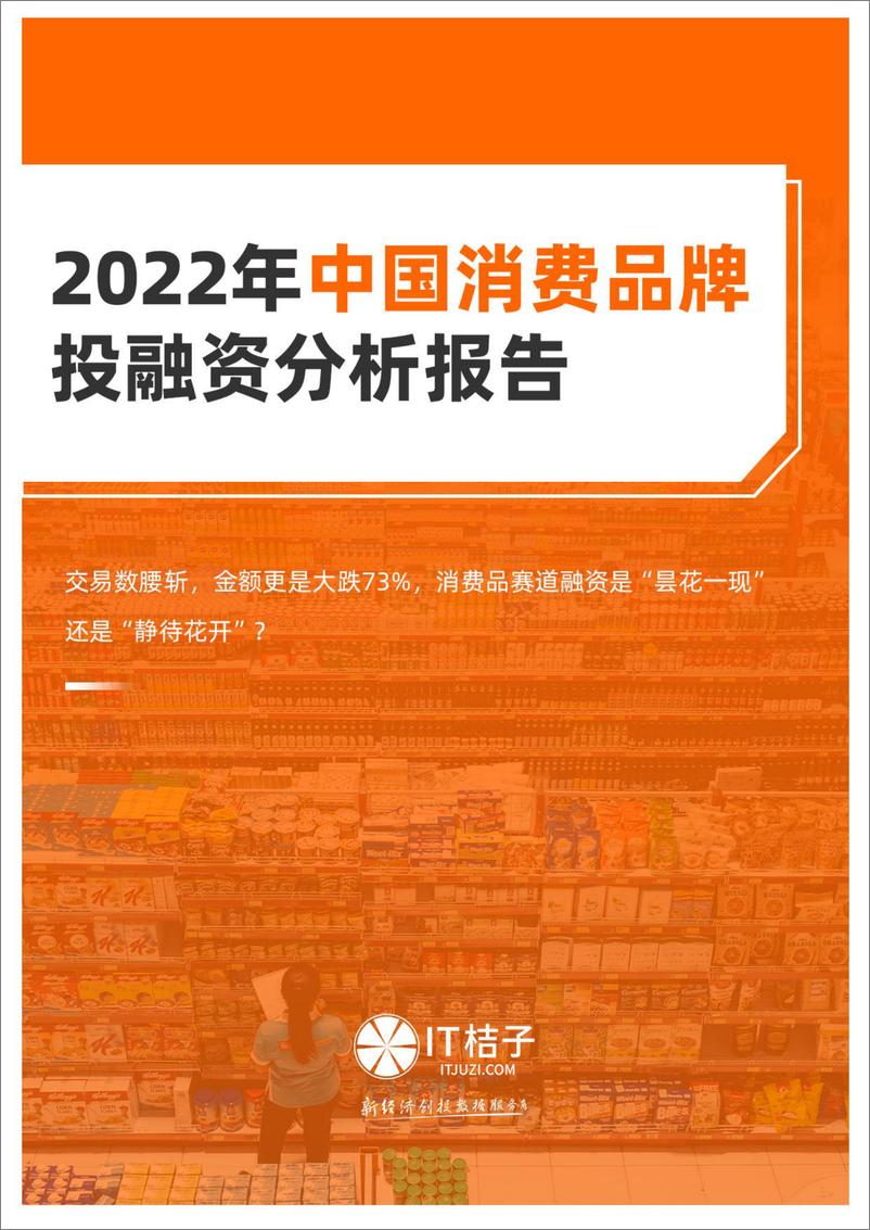 《2022年中国消费品牌投融资分析报告（2022.12）》 - 第1页预览图
