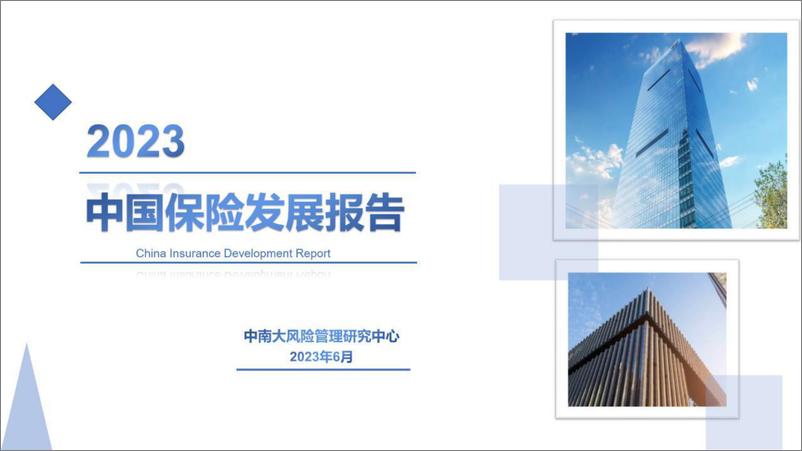 《2023中国保险发展报告-中南大风险管理研究中心-2023.6-118页》 - 第1页预览图