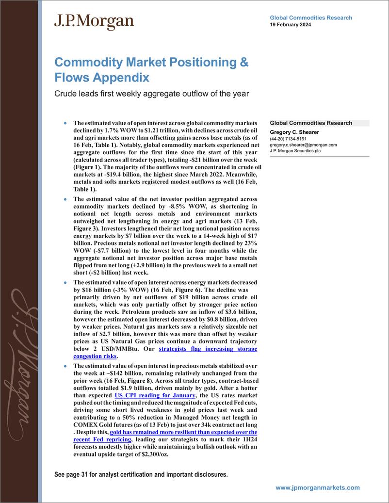 《JPMorgan Econ  FI-Commodity Market Positioning  Flows Appendix Crude leads fi...-106590894》 - 第1页预览图