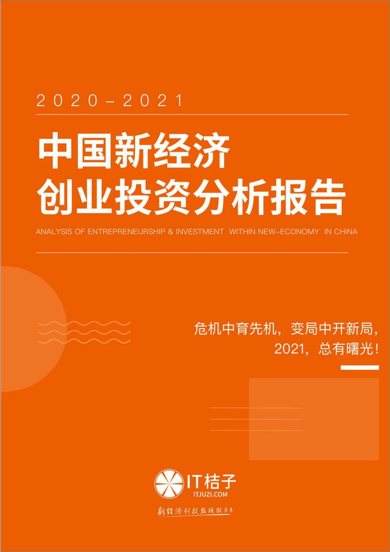 《2020-2021中国新经济创投分析报告》 - 第1页预览图