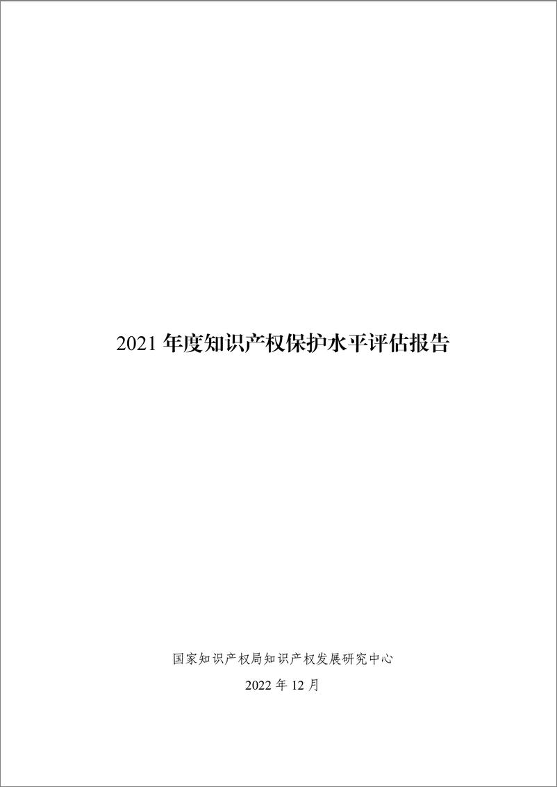 《2021年度知识产权保护水平评估报告-28页》 - 第1页预览图