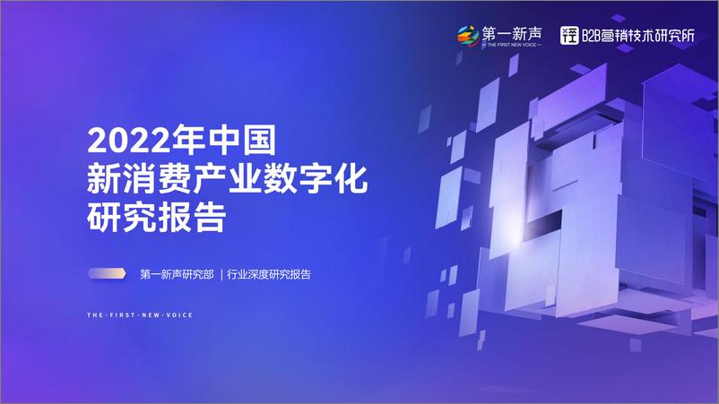 《第一新声：2022年中国新消费产业数字化研究报告-68页》 - 第1页预览图