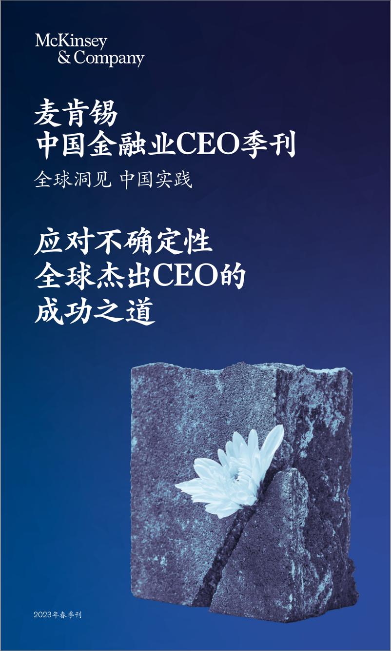 《麦肯锡-中国金融业CEO季刊全球洞见-中国实践—应对不确定性全球杰出CEO的成功之道-2023.05-140页》 - 第1页预览图