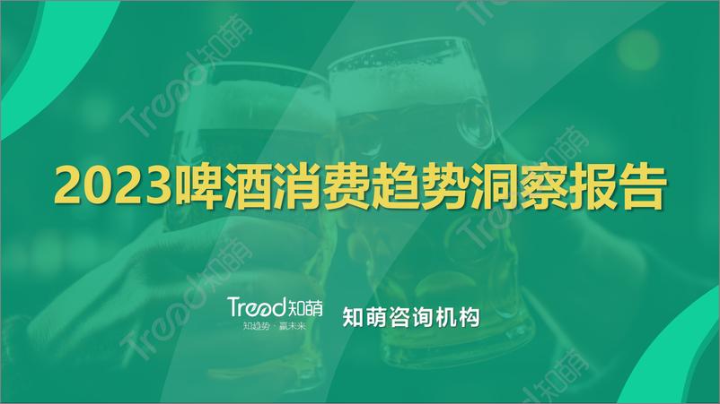 《2023啤酒消费趋势洞察报告-41页》 - 第1页预览图