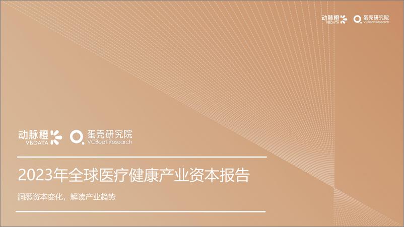 《2023年全球医疗健康投融资分析报告》 - 第1页预览图