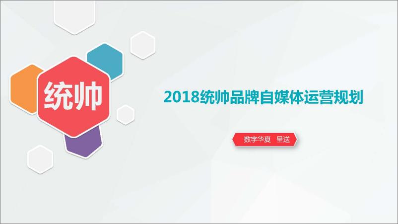 《20190214-2018年统帅品牌自媒体运营规划》 - 第1页预览图