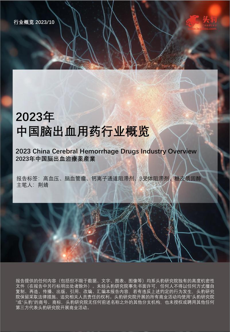 《2023年中国脑出血用药行业概览》 - 第1页预览图