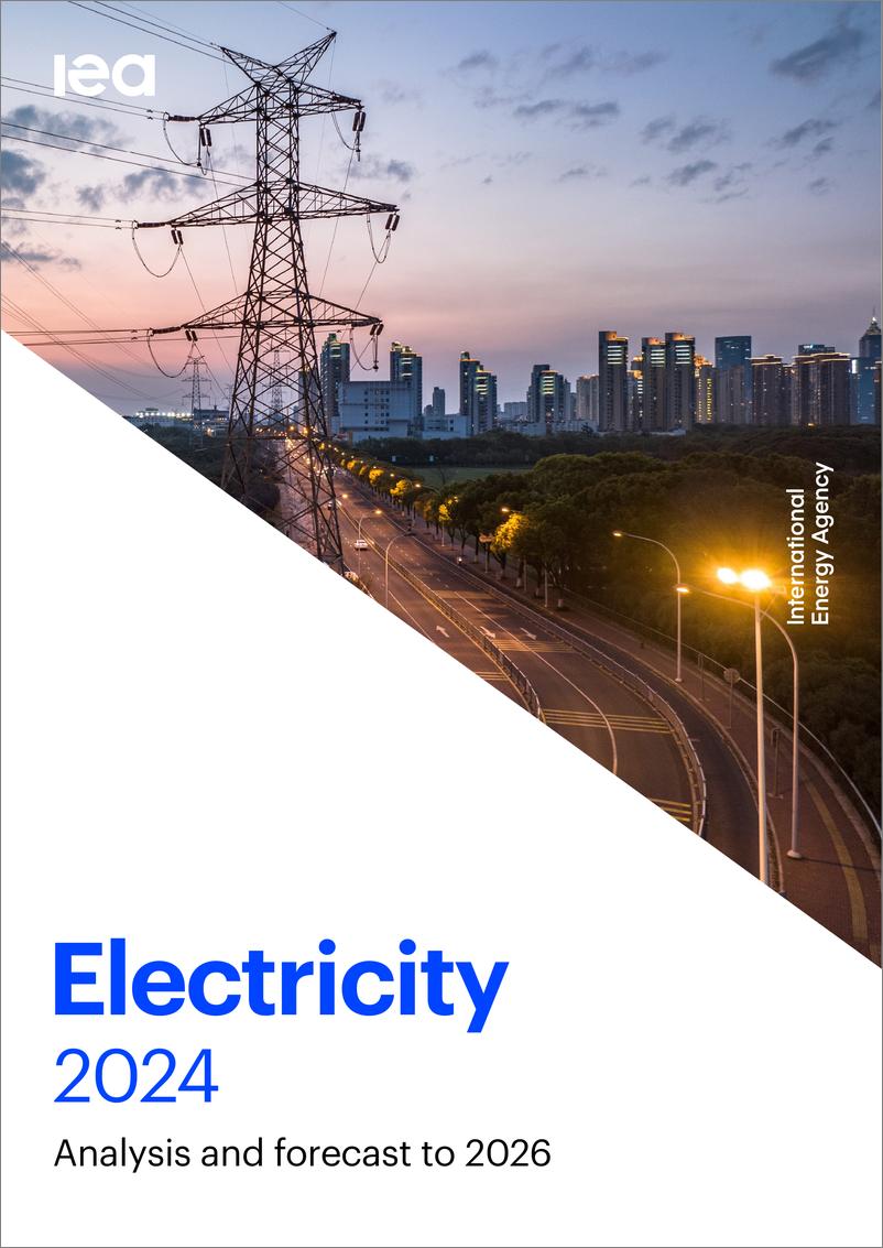 《2024年电力报告》 - 第1页预览图