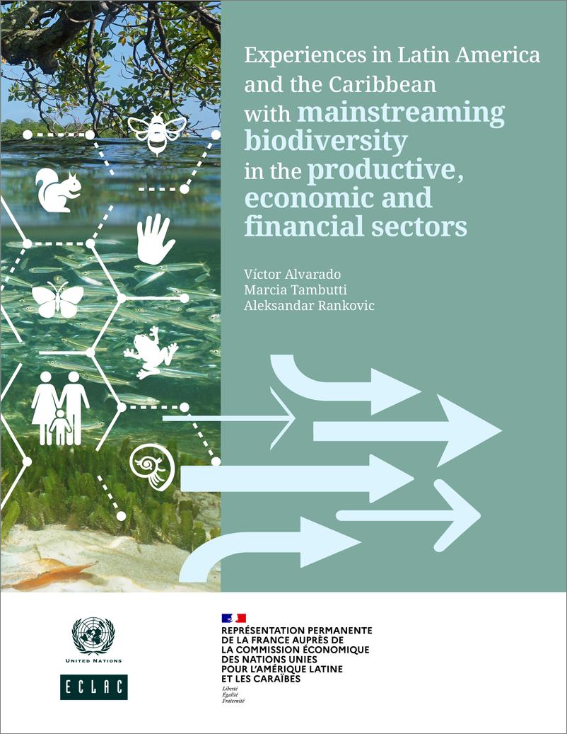 《拉丁美洲经济委员会-拉丁美洲和加勒比将生物多样性纳入生产、经济和金融部门主流的经验（英）-2022.12-79页》 - 第1页预览图