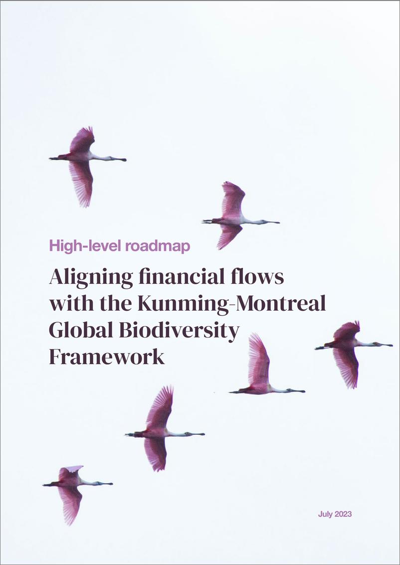 《Unepfi-高级别路线图：使资金流动与昆明-蒙特利尔全球生物多样性框架保持一致（英）-2023.7-16页》 - 第1页预览图