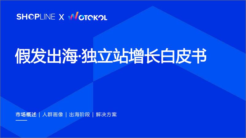 《假发出海·独立站增长白皮书-2023.06-43页》 - 第1页预览图