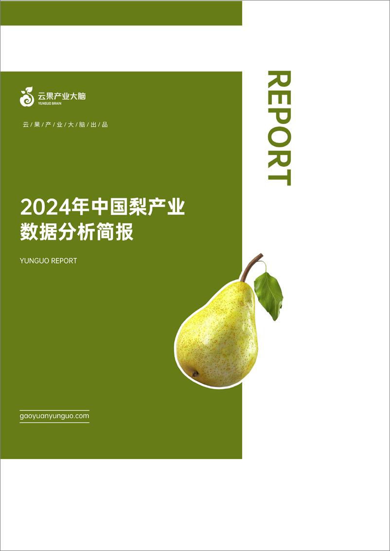 《云果-2024年中国梨产业数据分析简报》 - 第1页预览图