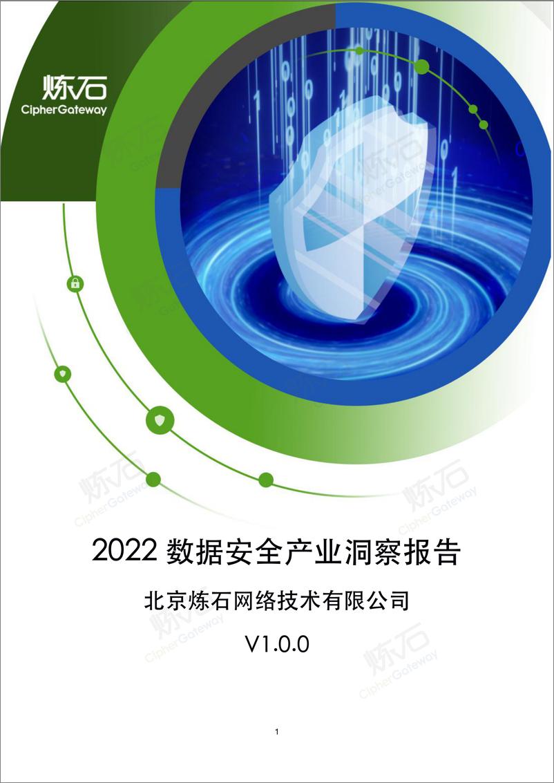 炼石《2022数据安全产业洞察报告》-441页 - 第1页预览图