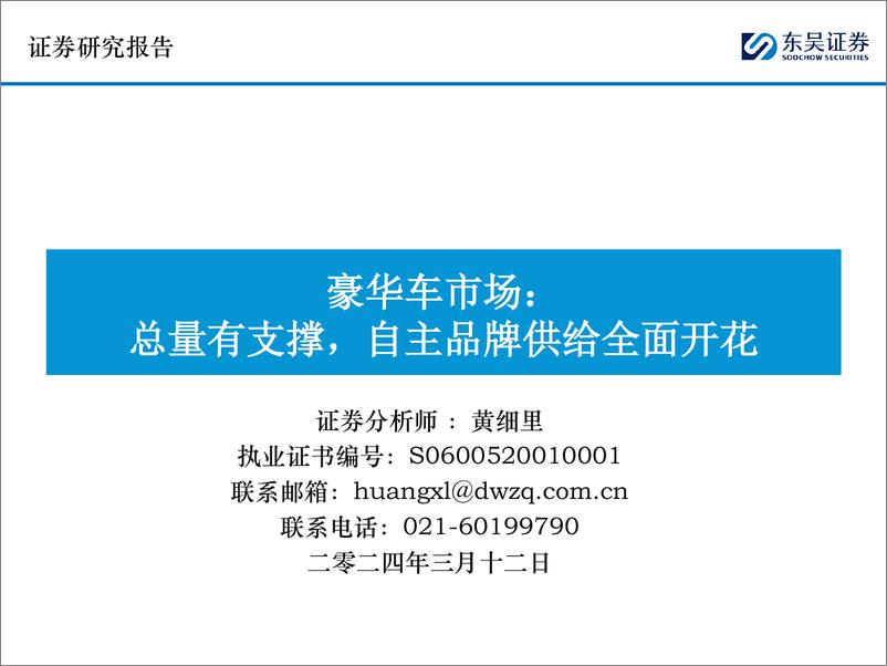 《2024豪华车市场分析报告（回顾、展望、格局、用户画像等）》 - 第1页预览图