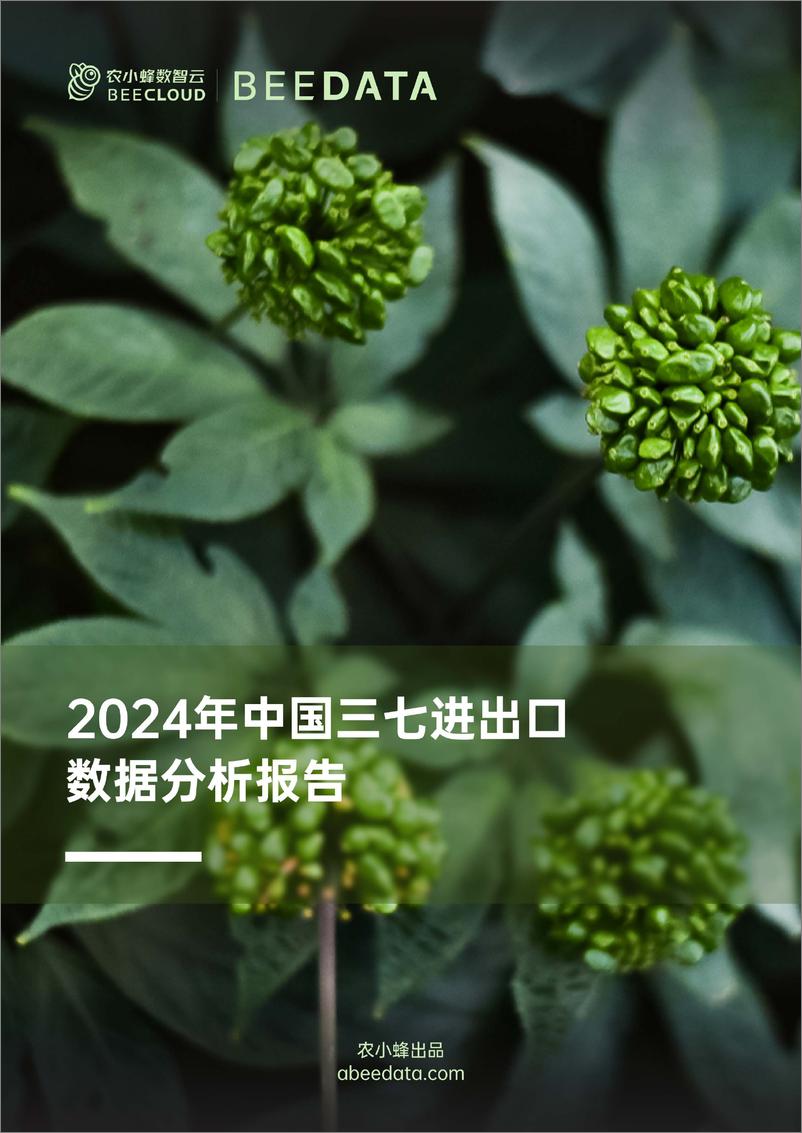 《农小蜂-2024年中国三七进出口数据分析报告》 - 第1页预览图