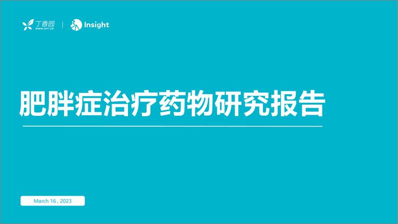 《丁香园-肥胖症治疗药物研究报告-2023.04-50页》 - 第1页预览图