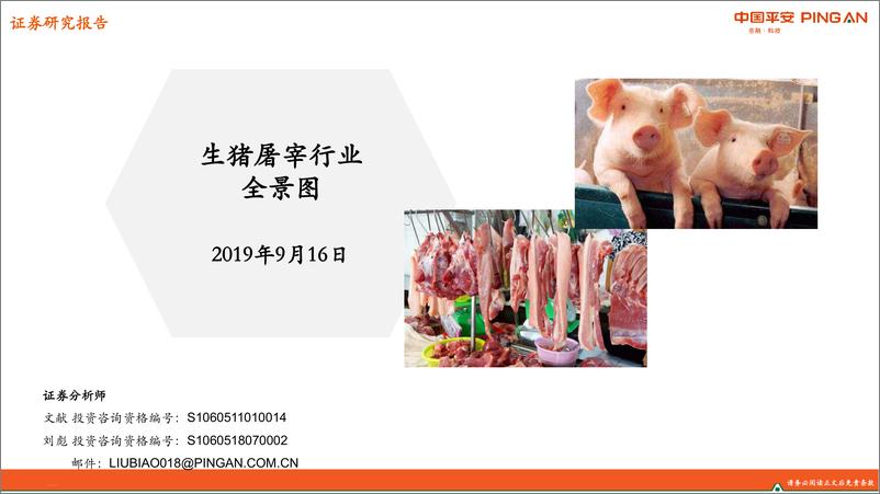 《食品饮料行业：生猪屠宰行业全景图-20190916-平安证券-26页》 - 第1页预览图