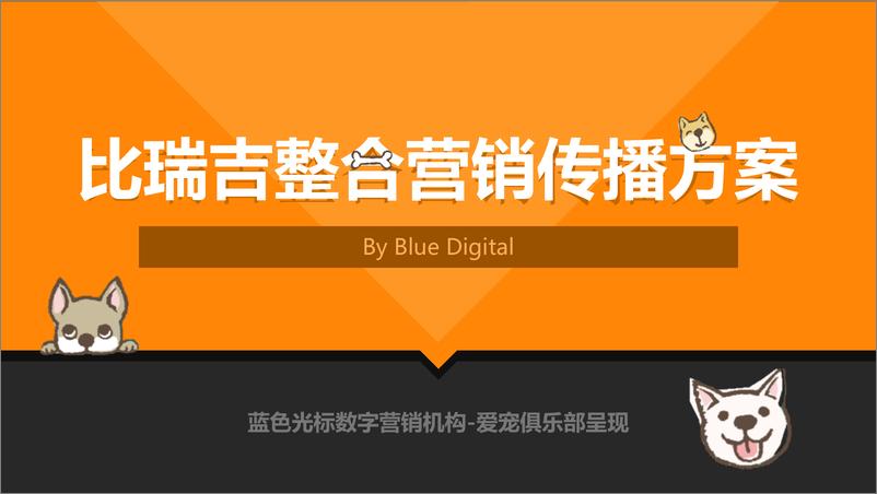 《蓝色光标-比瑞吉整合营销传播方案》 - 第1页预览图