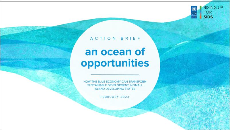《UNDP-行动简报：机会的海洋-蓝色经济如何改变小岛屿发展中国家的可持续发展（英）-2023.2-55页》 - 第1页预览图