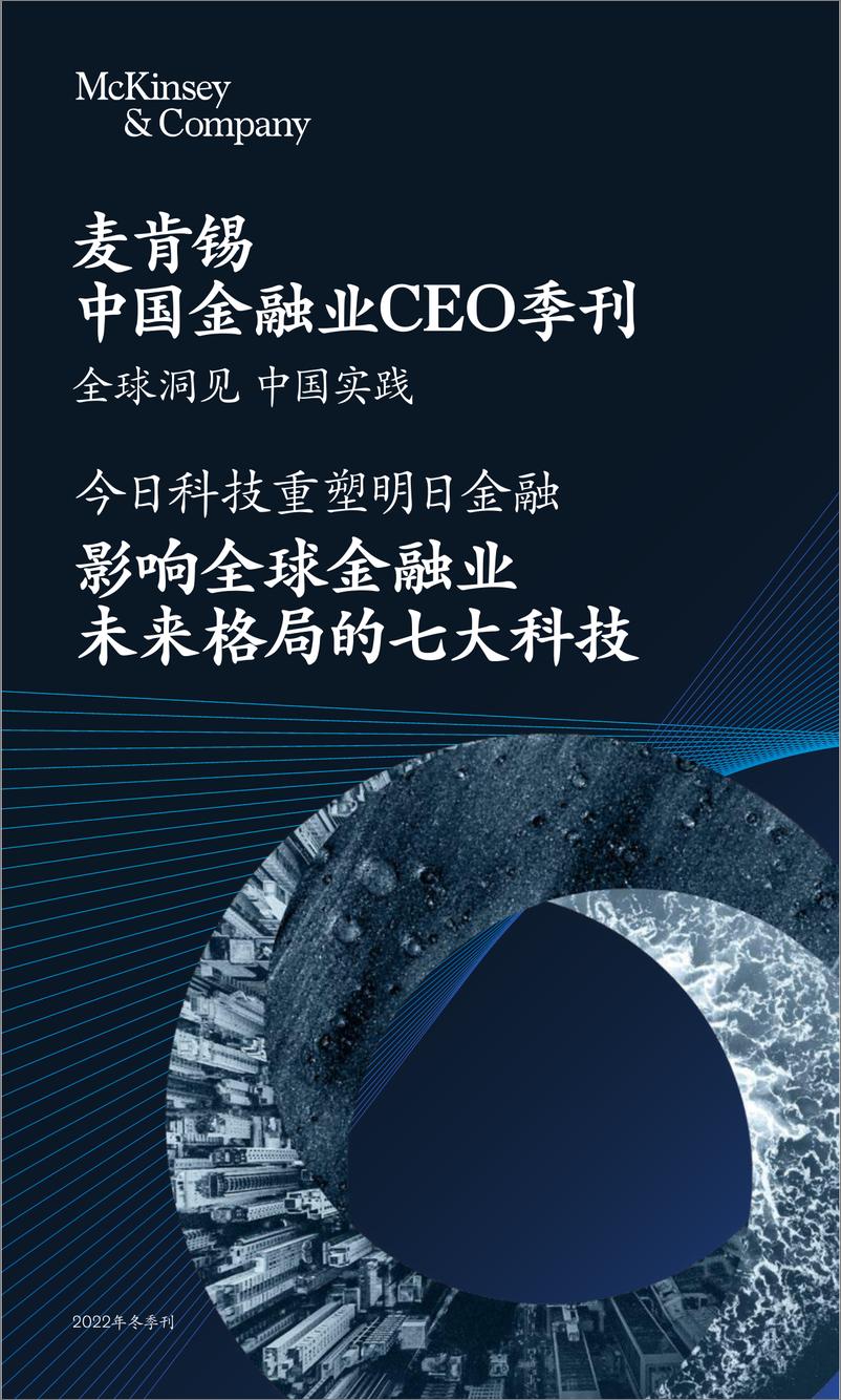 《麦肯锡-中国金融业CEO冬季刊-影响全球金融业未来格局的七大科技-2022-188页》 - 第1页预览图