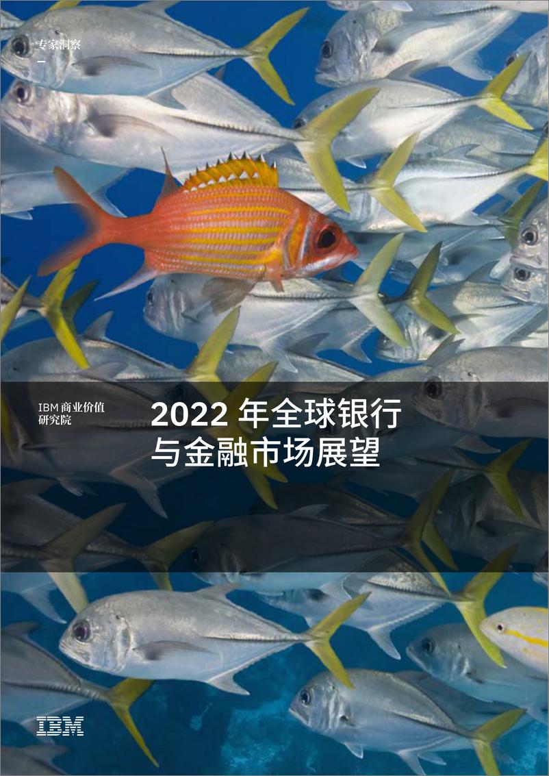 《2022年全球银行与金融市场展望-IBM-2022-18页》 - 第1页预览图