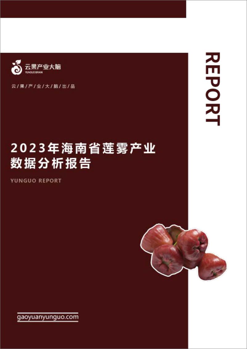 《云果-2023年海南省莲雾产业数据分析报告-17页》 - 第1页预览图