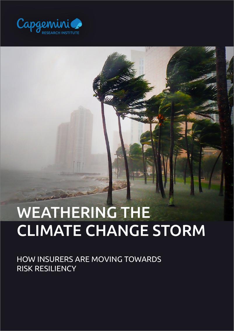 《Capgemini-抵御气候变化风暴：保险公司如何走向风险抵御能力（英）-2023-22页》 - 第1页预览图