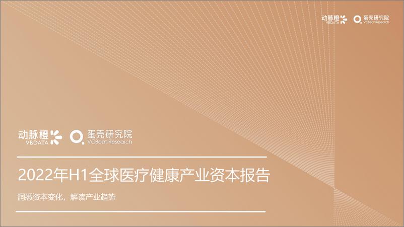 《动脉橙-2022年H1全球医疗健康产业资本报告-30页》 - 第1页预览图