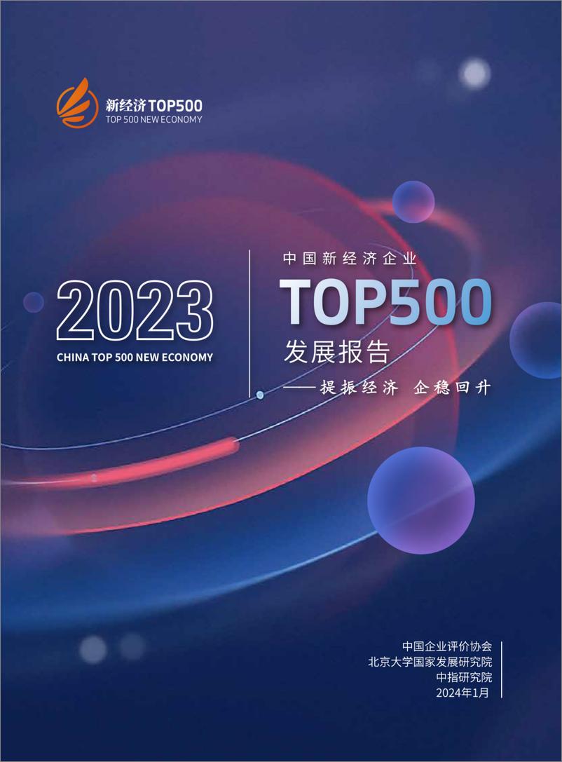 《2023中国新经济企业TOP500发展报告-北京大学国家发展研究院》 - 第1页预览图