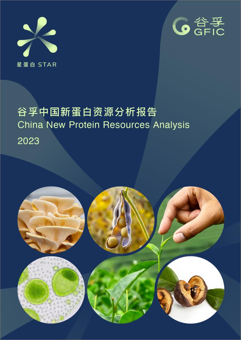 《谷孚2023中国新蛋白资源分析报告》 - 第1页预览图