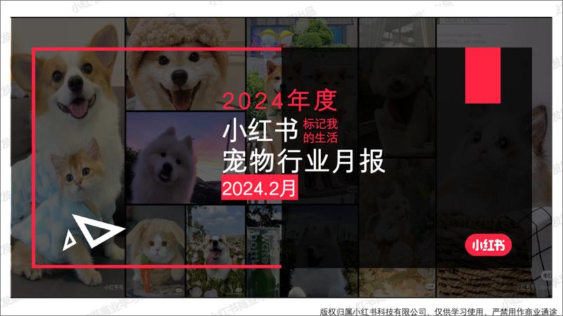 《小红书2024年宠物行业月报-2月-23页》 - 第1页预览图