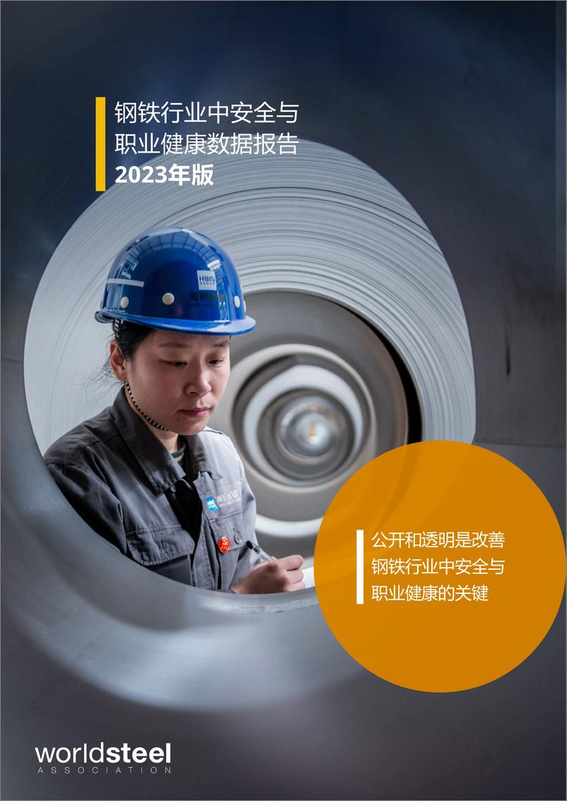《世界钢铁协会：2023年版钢铁行业安全与职业健康数据报告》 - 第1页预览图