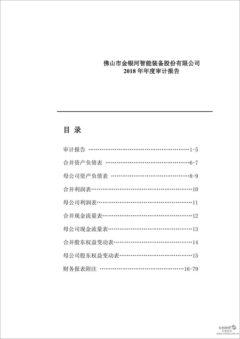 《金银河智能-A股上市公司首份2018年审计报告-2019.1-80页》 - 第1页预览图