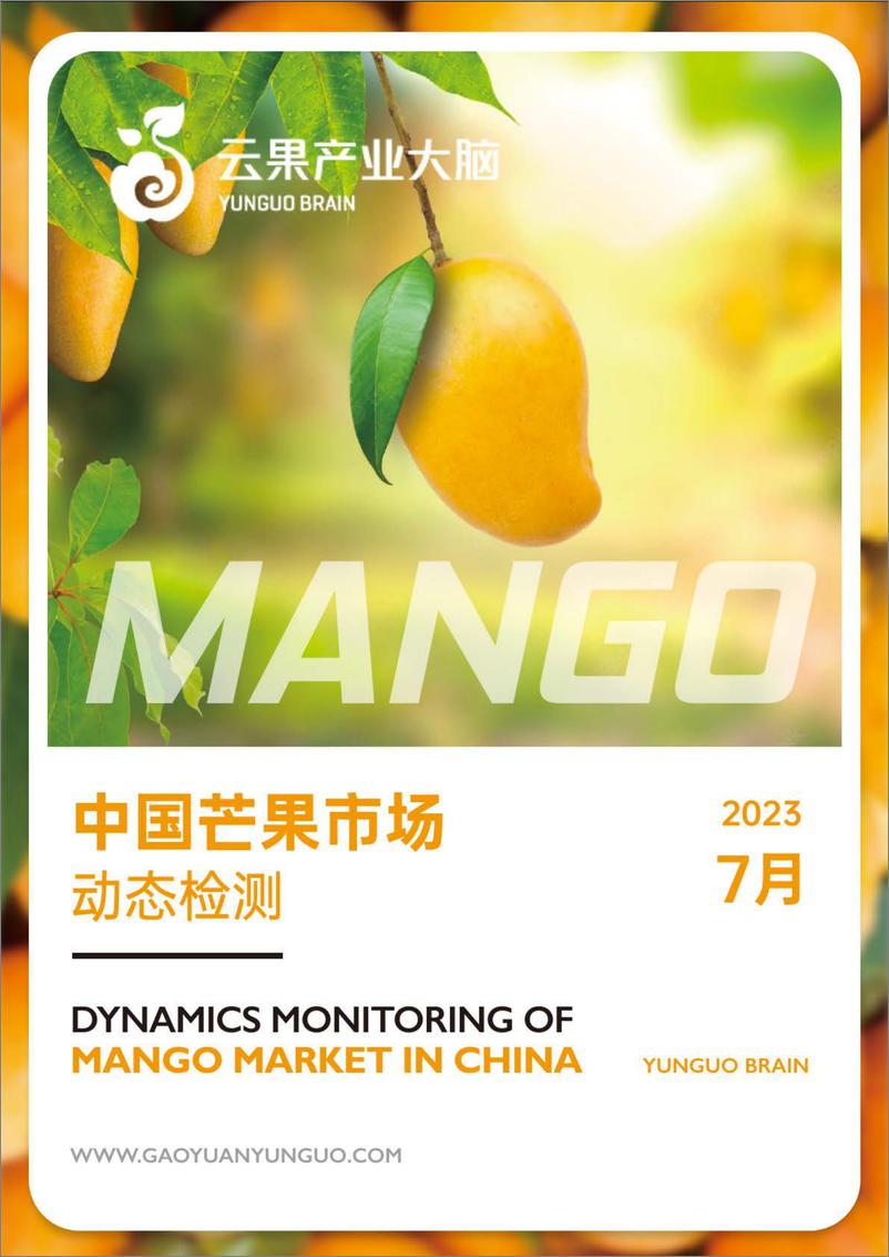 《云果-中国芒果市场动态监测（2023年7月）-19页》 - 第1页预览图