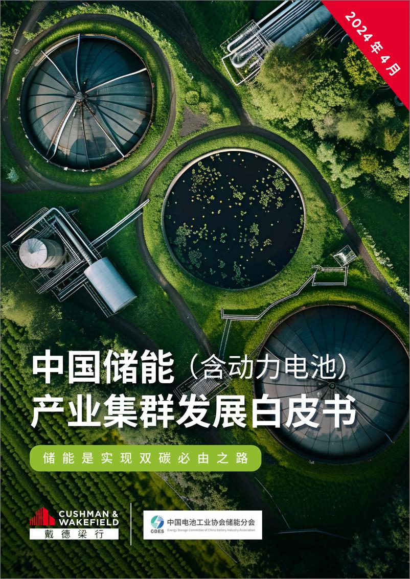 《戴德梁行：2024中国储能（含动力电池）白皮书》 - 第1页预览图