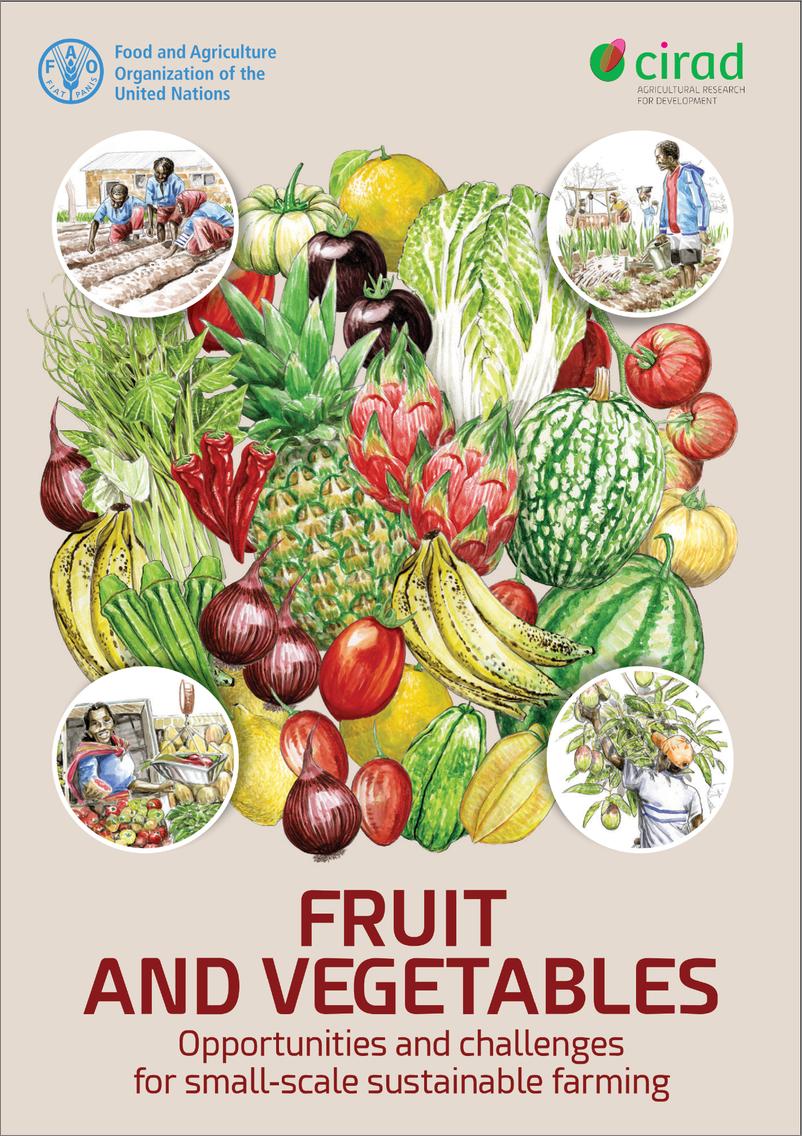 《水果与蔬菜 — 小规模可持续农业的机遇与挑战》英-196页 - 第1页预览图