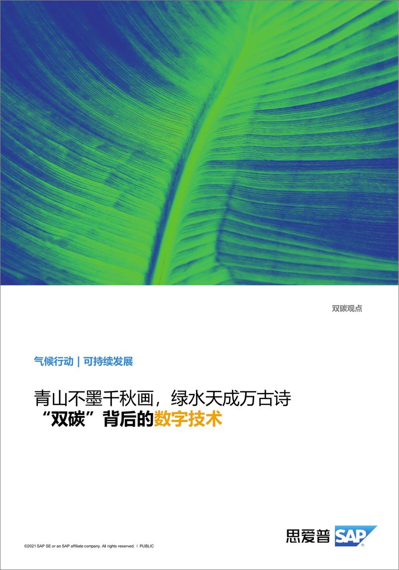 《“双碳”背后的数字技术（中国双碳目标与低碳转型）》 - 第1页预览图