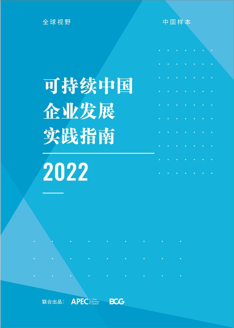 《BCG&APEC-可持续中国企业发展实践指南-2022-87页》 - 第1页预览图