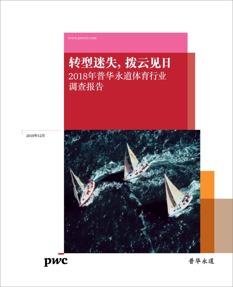 《2018年普华永道体育行业调查报告 - 转型迷失，拨云见日》 - 第1页预览图