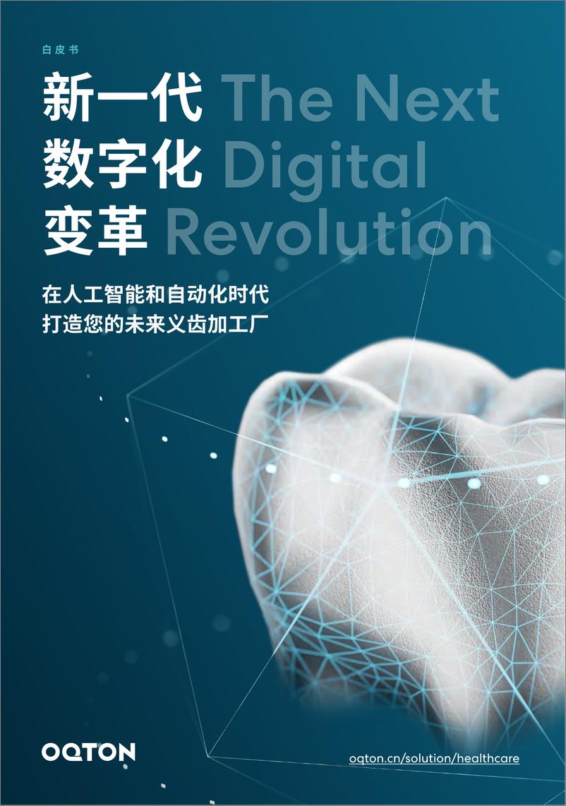 《2023人工智能与义齿制造自动化白皮书-19页》 - 第1页预览图