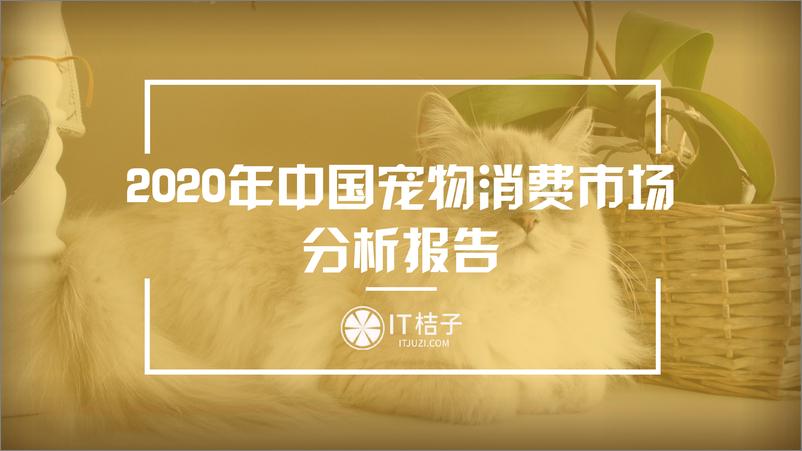 《2020 年中国宠物消费市场分析报告》 - 第1页预览图