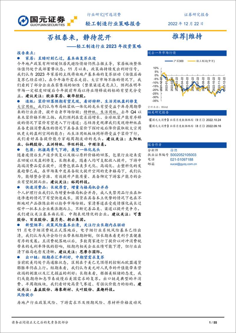 《轻工制造行业2023年投资策略：否极泰来，静待花开-20221222-国元证券-55页》 - 第1页预览图