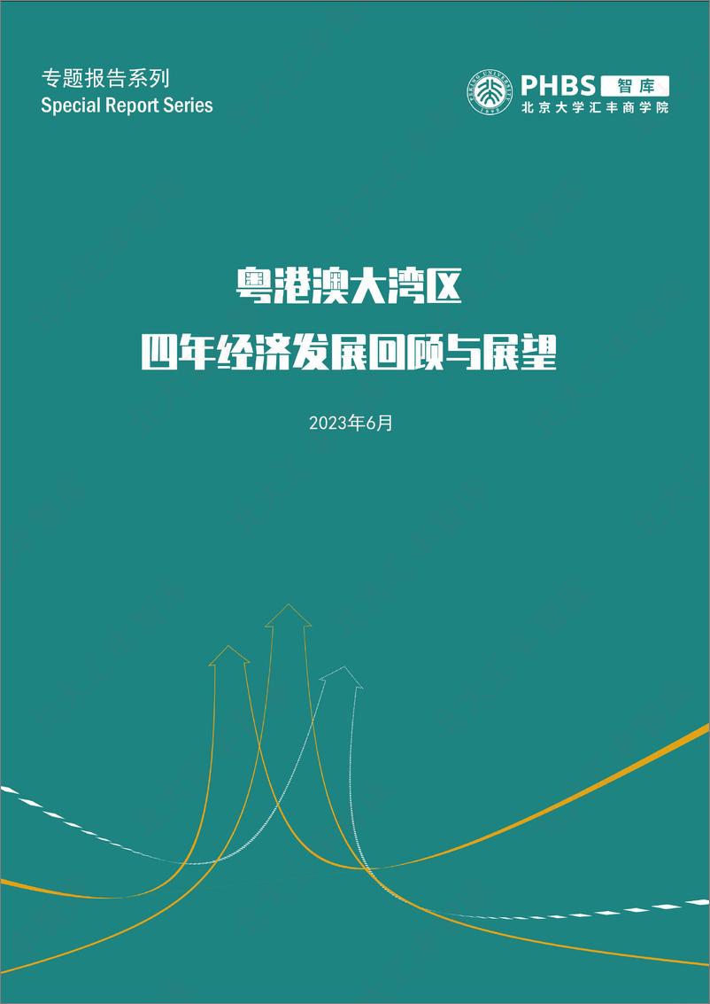 《北大汇丰智库-粤港澳大湾区四年经济发展回顾与展望-39页》 - 第1页预览图