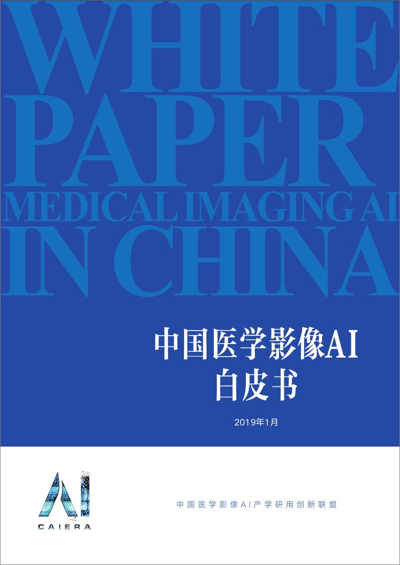 《深入解析医学影像AI临床应用现状与算法进展（英）-42页》 - 第1页预览图