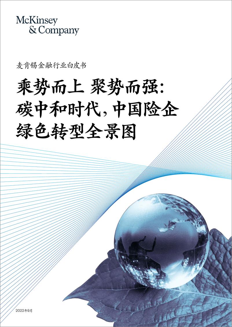 《碳中和时代，中国险企绿色转型全景图-麦肯锡-2022.9-38页》 - 第1页预览图