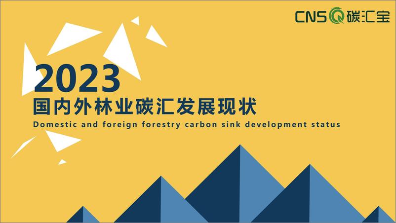 《碳汇宝：2023国内外林业碳汇发展现状》 - 第1页预览图