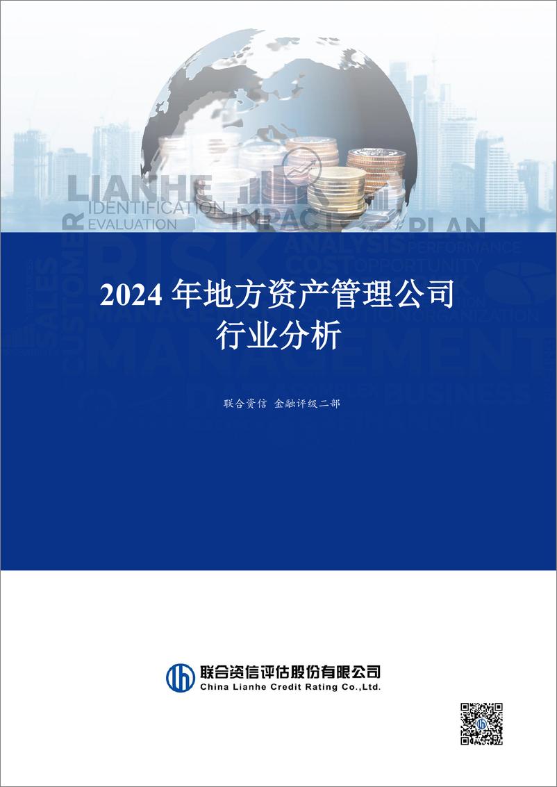 《2024年地方资产管理公司行业分析》 - 第1页预览图